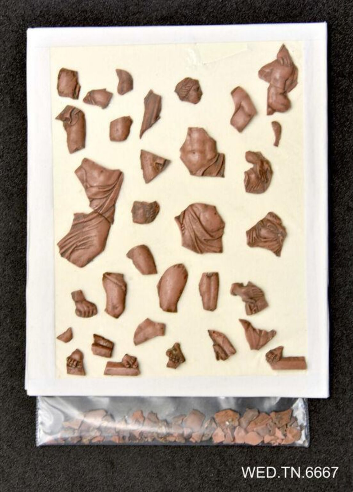 Wax model