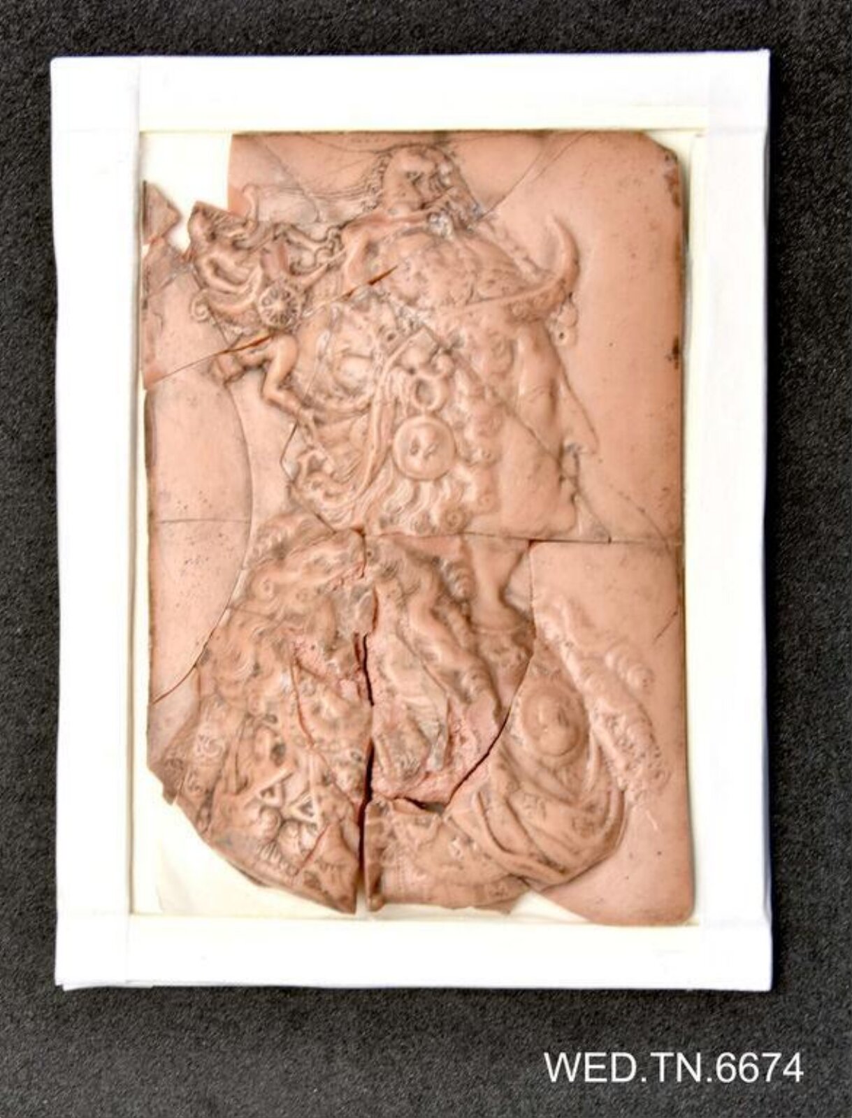 Wax model