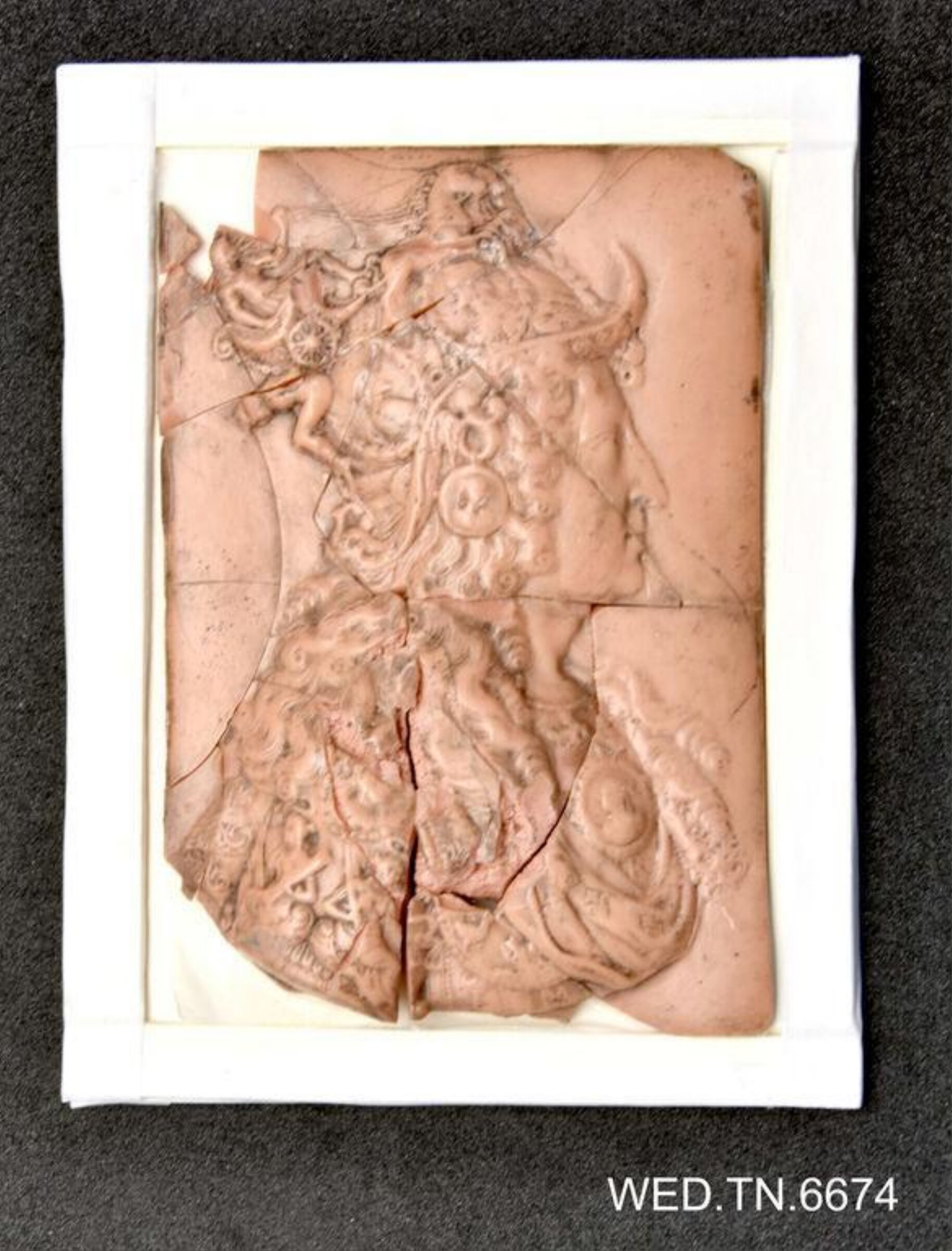 Wax model