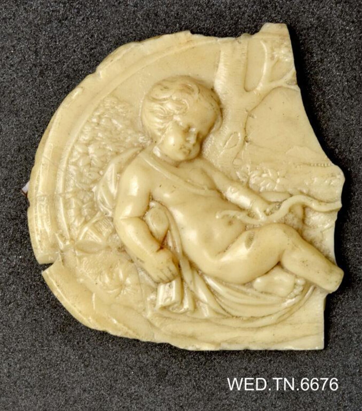 Wax model