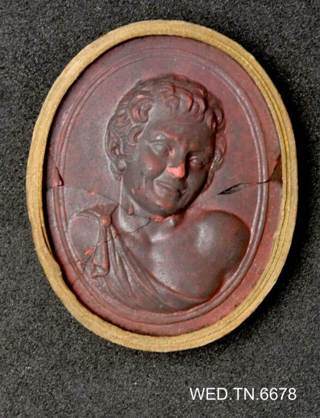 Wax model