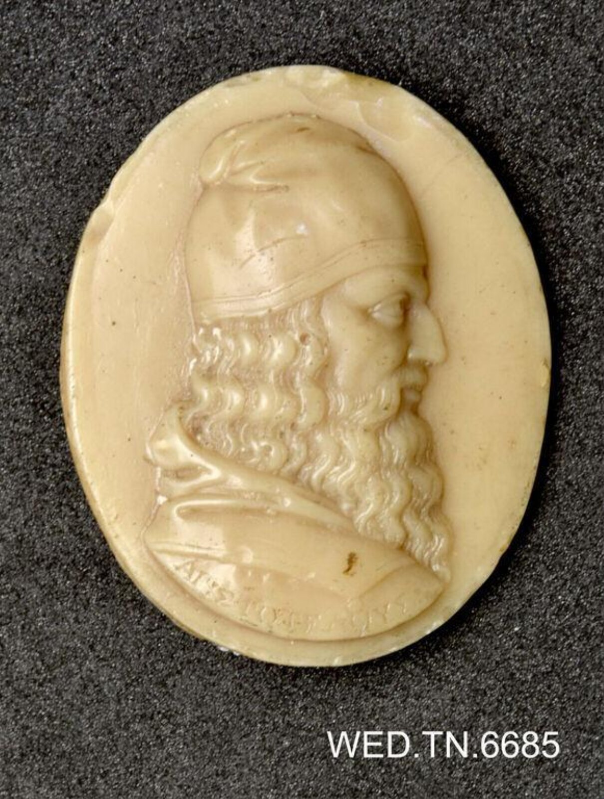 Wax model