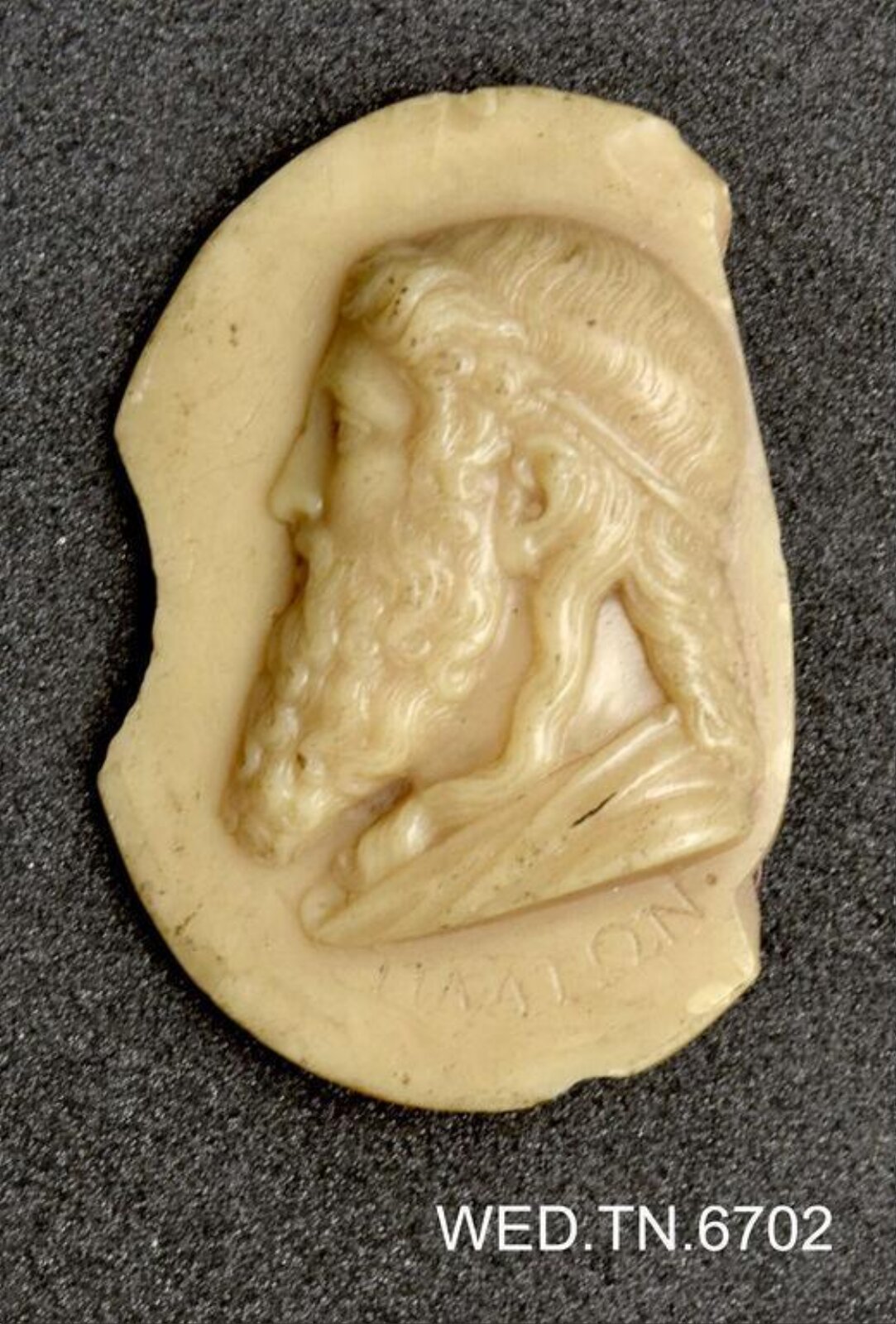 Wax model