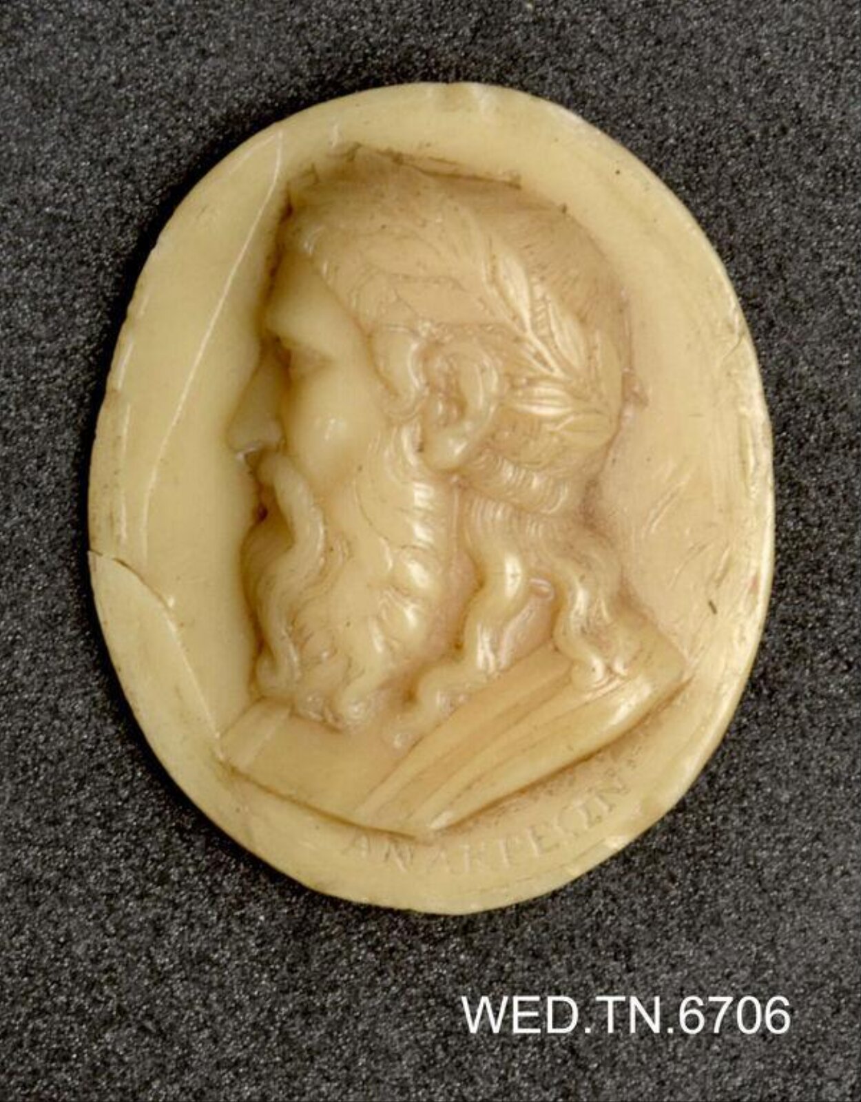 Wax model
