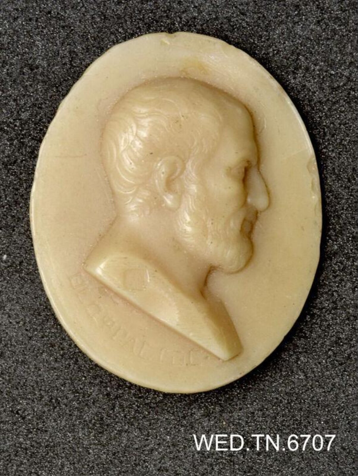 Wax model