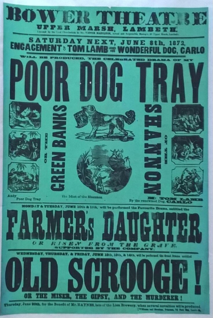 Illustrated poster advertising the programme at the Bower Theatre, 8-20 June, 1872 image