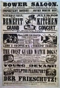Illustrated poster advertising the programme at the Bower Saloon, 19 July 1856