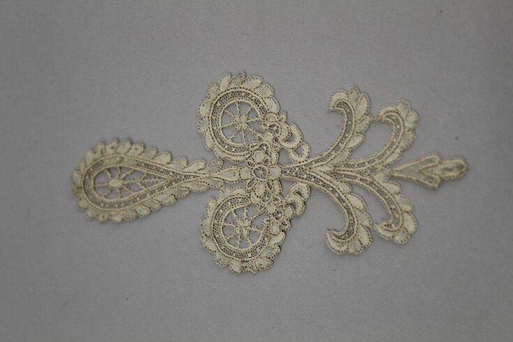 Lace Sprig top image