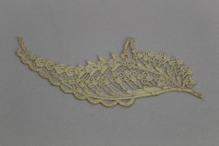 Lace Sprig top image