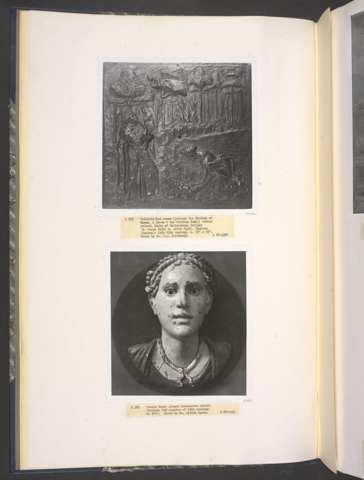 Female Head, first half of 16th century