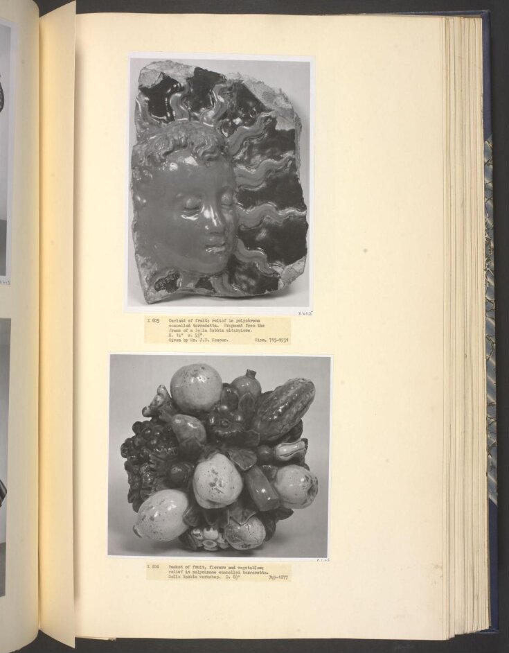 basket of fruit, flowers and vegetables, top image