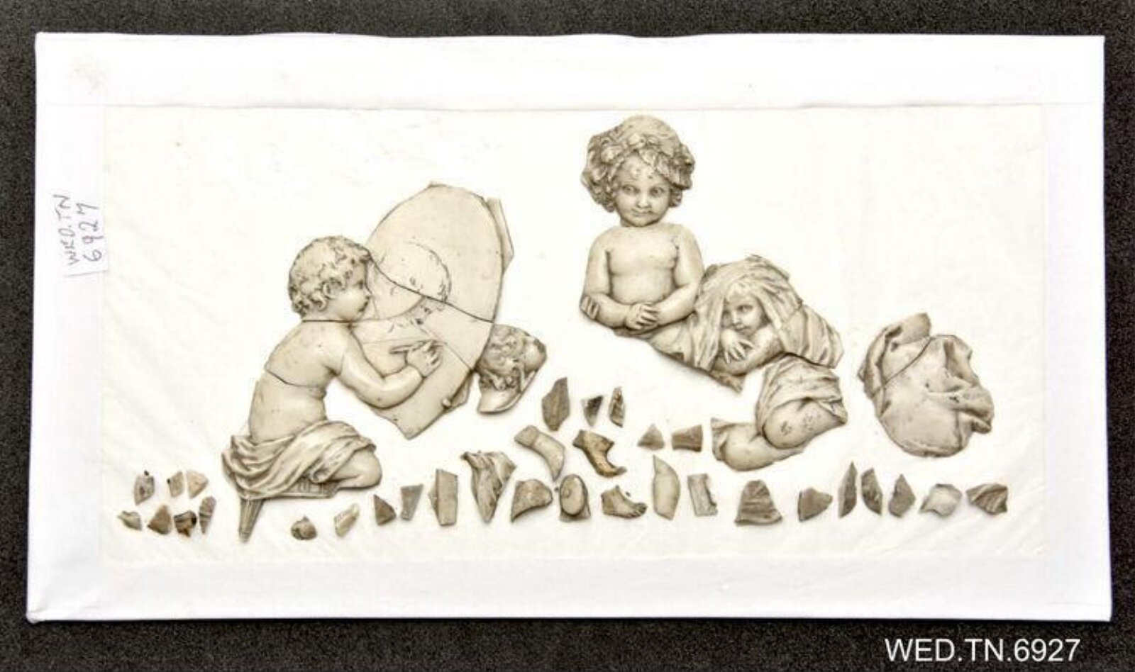 Wax model