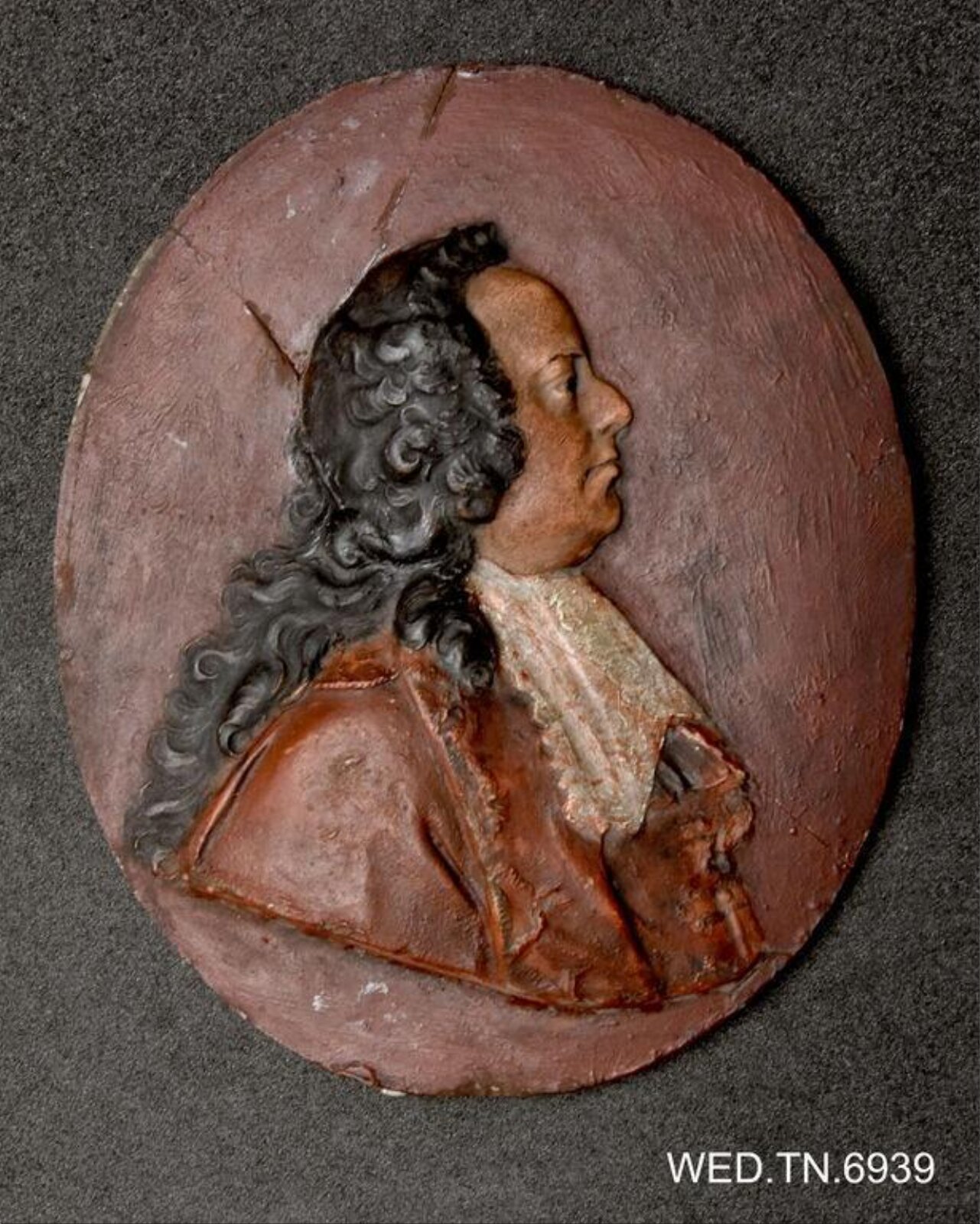 Wax model