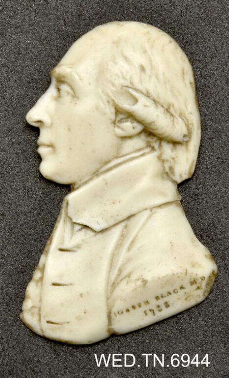 Wax model