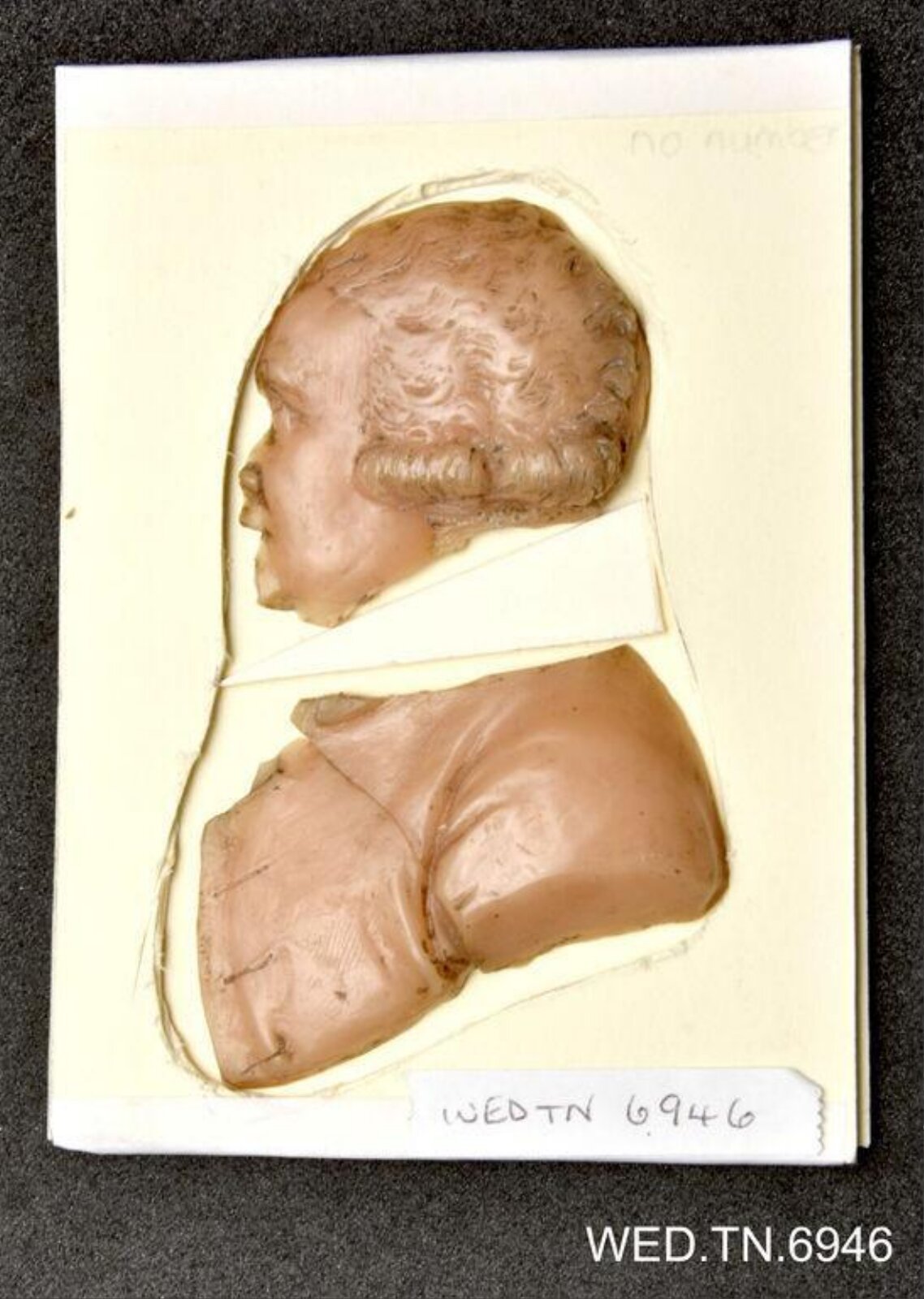 Wax model