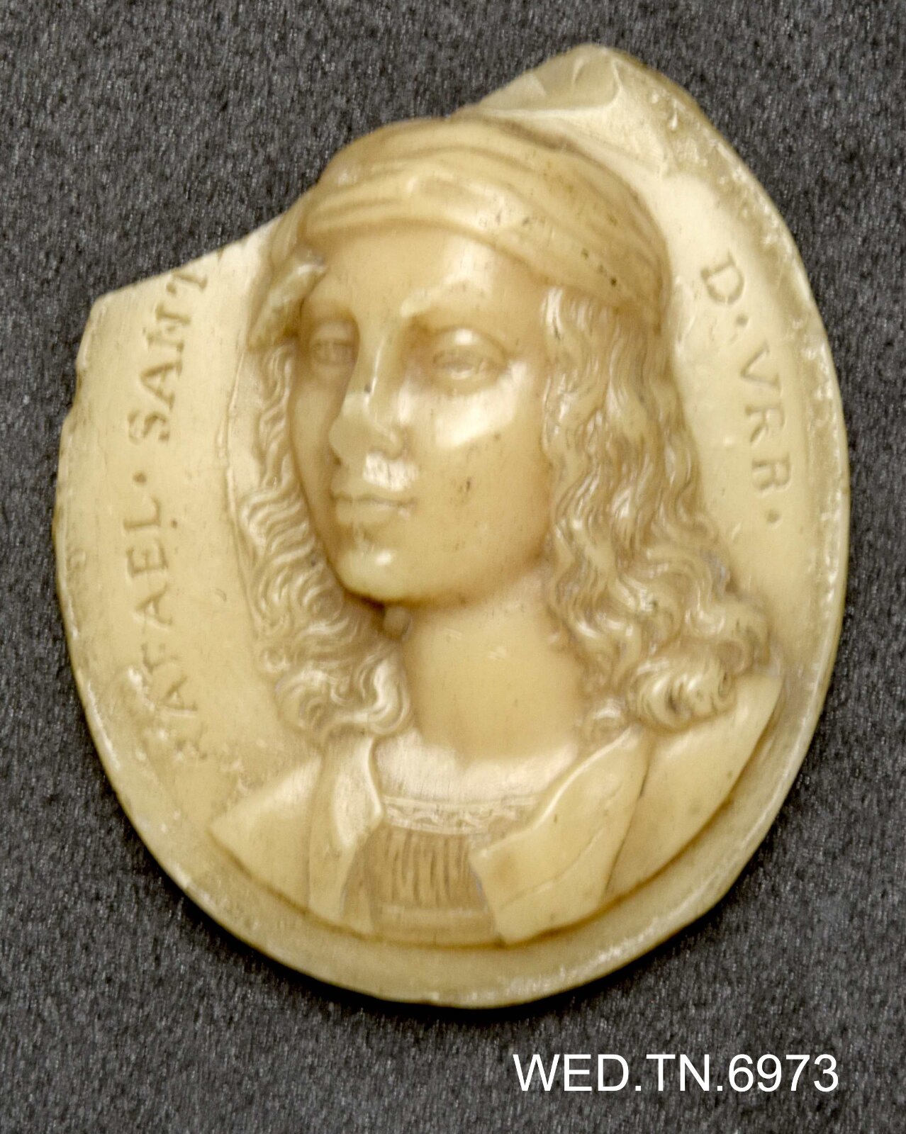 Wax model