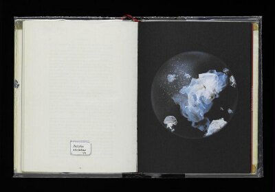 Beyond drifting : imperfectly known animals : natural history, microscopic researches of imperfectly known animals, in a series of photographs : recent and unique species discovered in the Cove of Cork : illustrated by numerous figures 