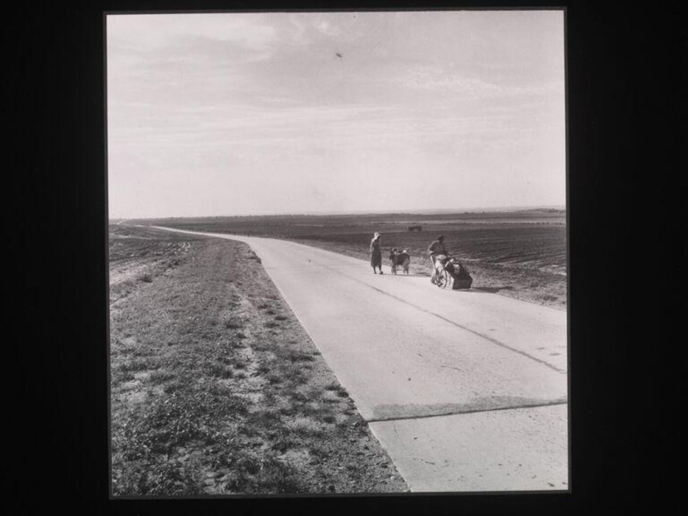 Dorothea Lange, Arkansas flood refugee family near Memphis, Tennessee, bound for Lower Rio Grande Valley, Texas, where they hope to chop cotton