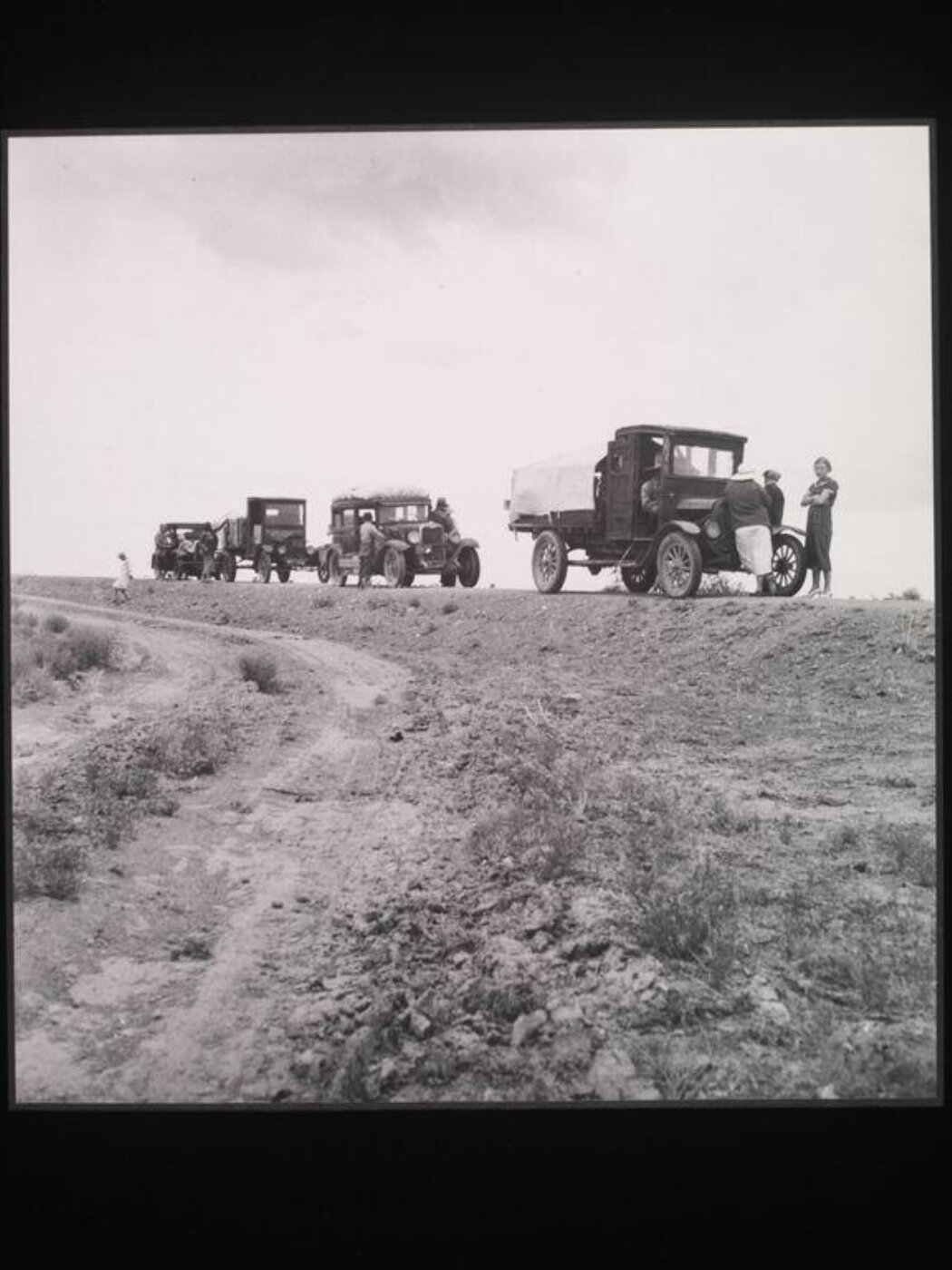 Dorothea Lange, Drought refugee families from Oklahoma on road to Roswell, New Mexico, to chop cotton