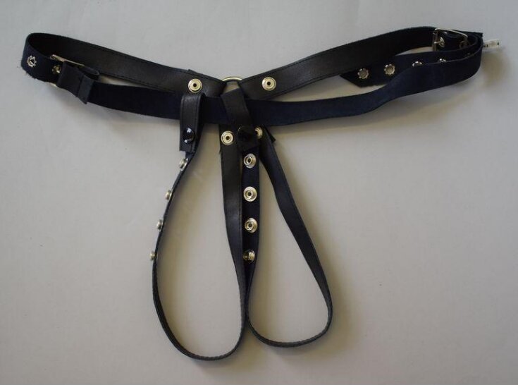Harness top image