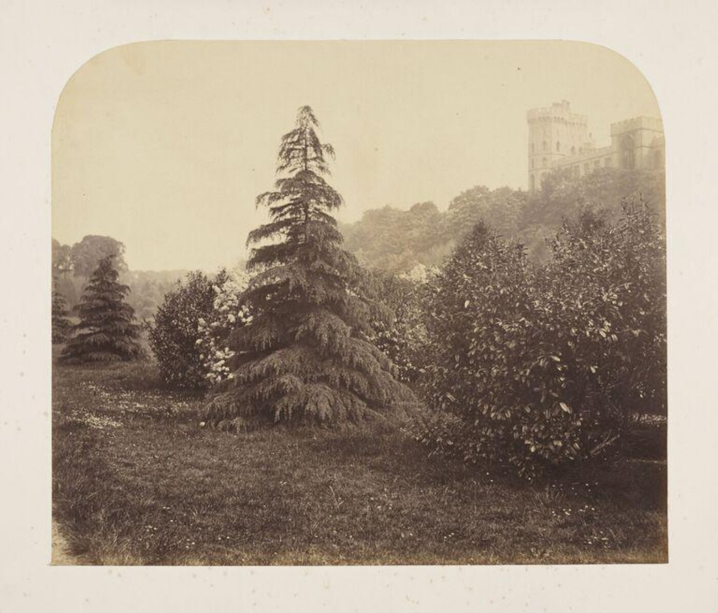Fenton, Roger, Windsor Castle