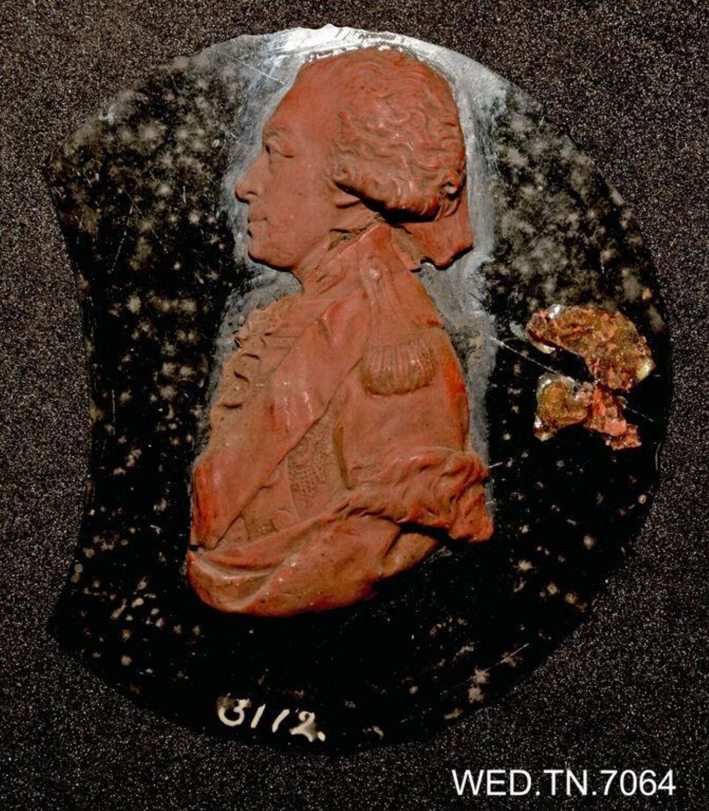 Wax model