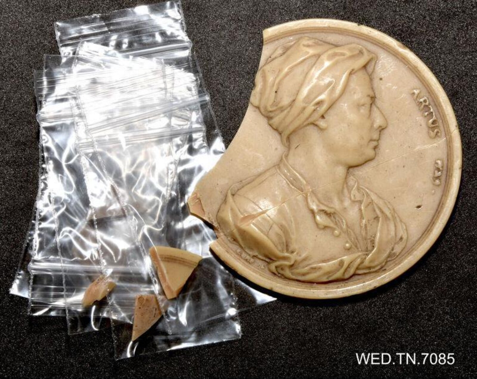 Wax model