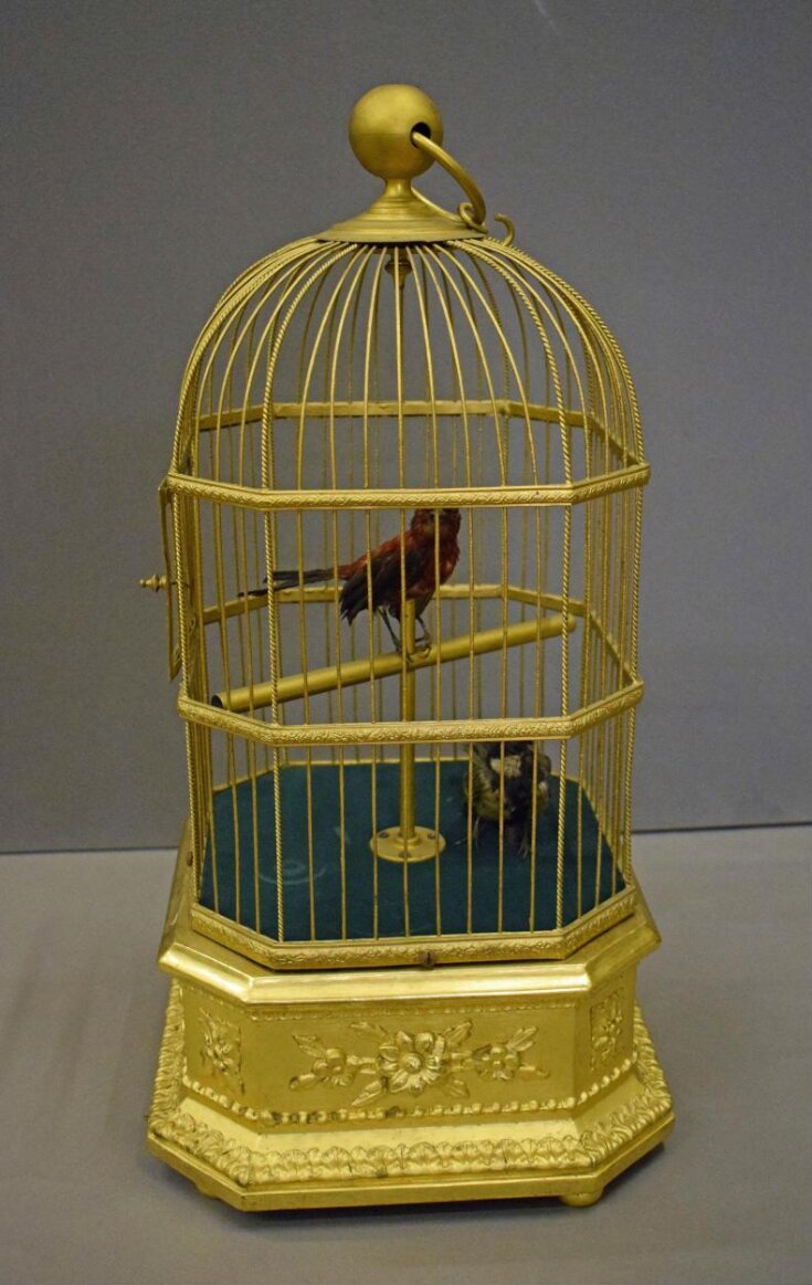 Bird cage automaton top image