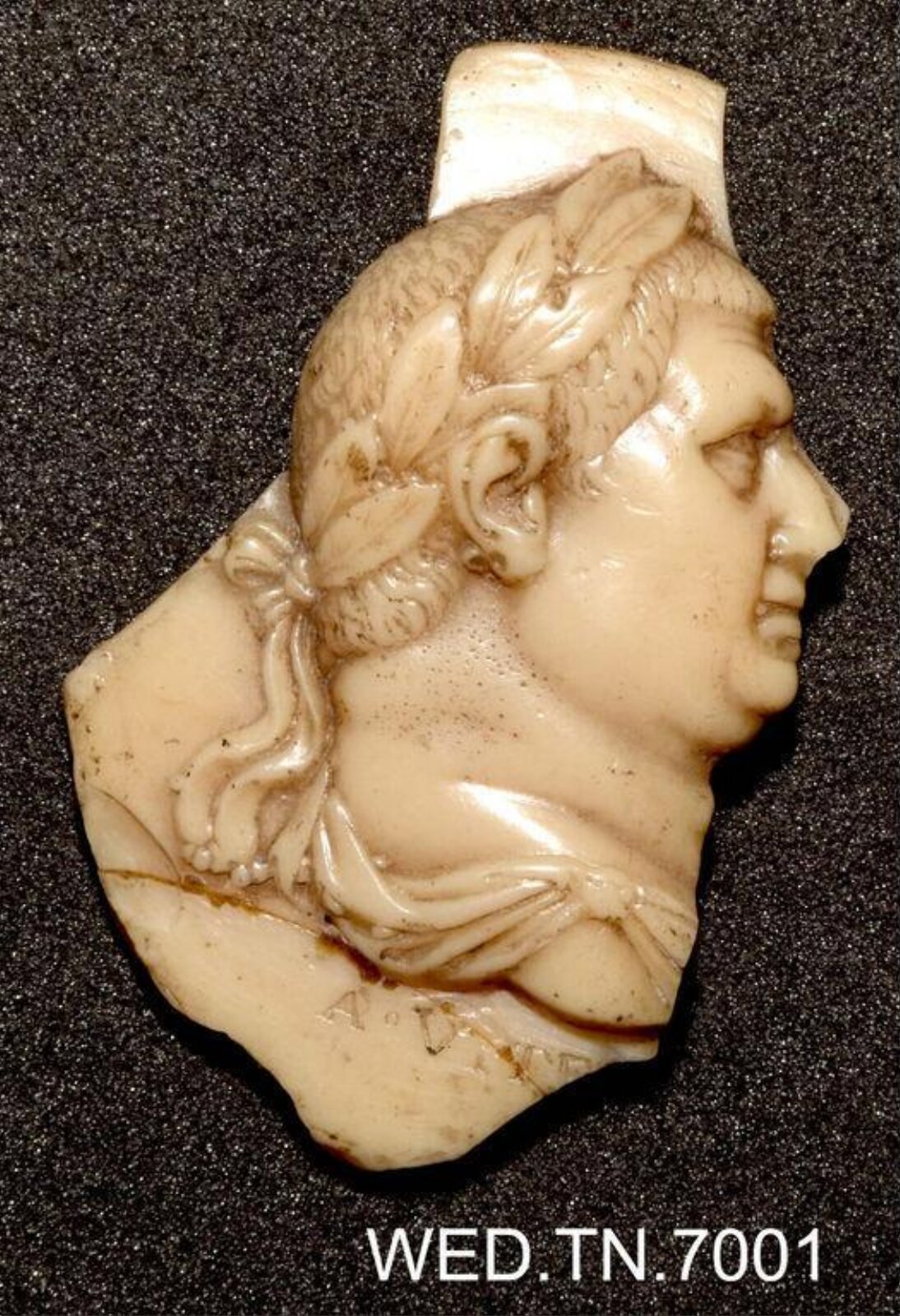 Wax model
