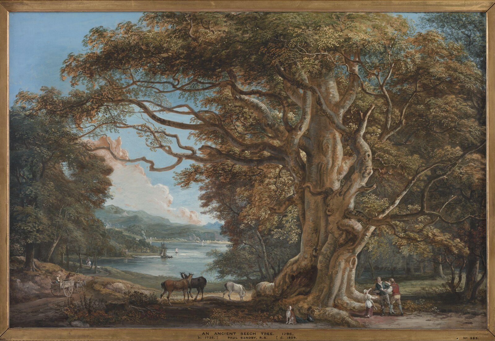 Ancient Beech Tree, Paul Sandby, 1794