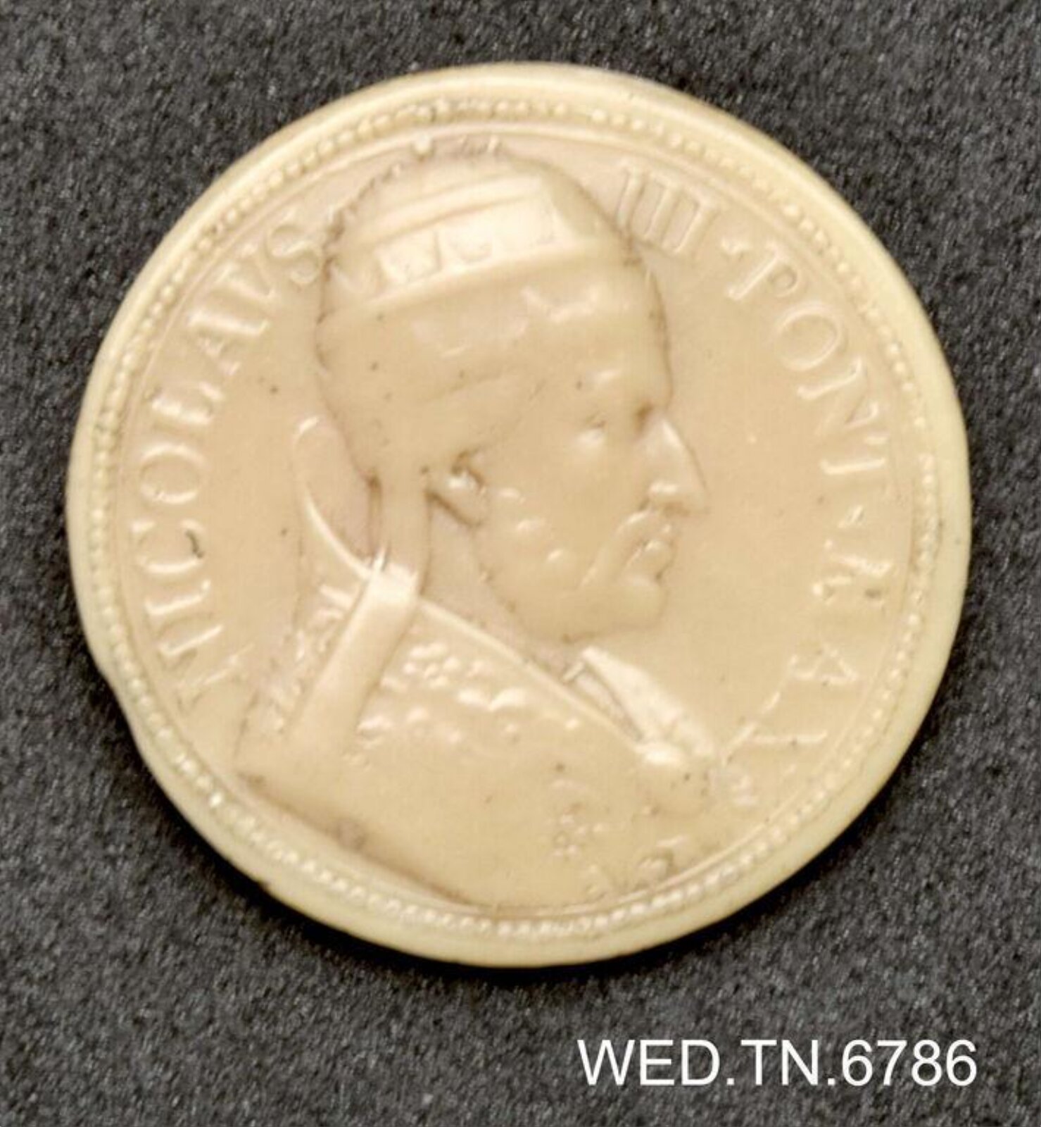 Wax model