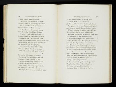 The Prince and the people: a poem in two cantos