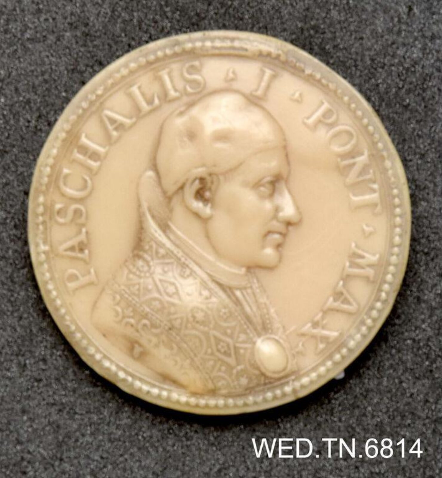 Wax model