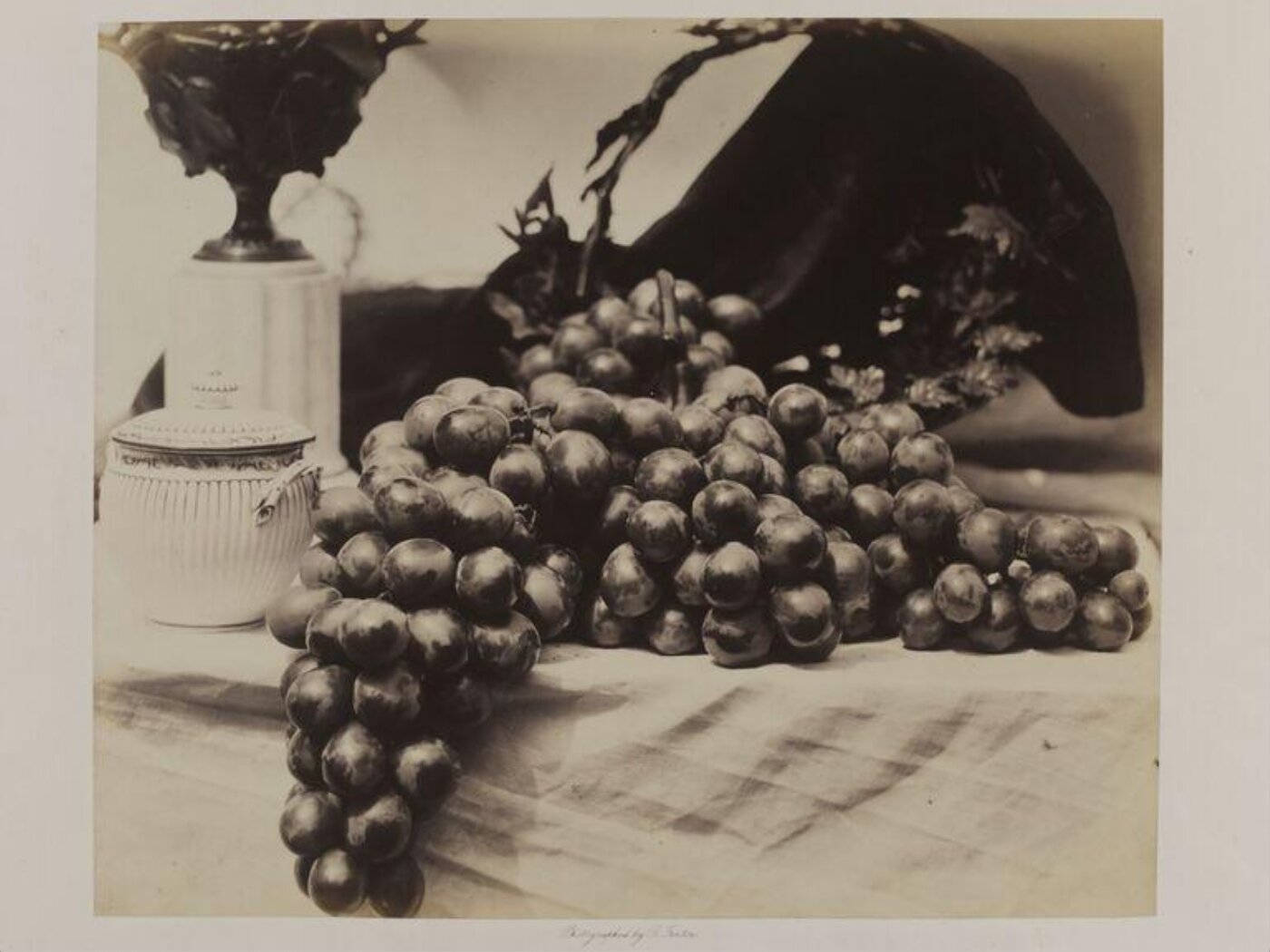Fenton, Roger, Grapes with jar