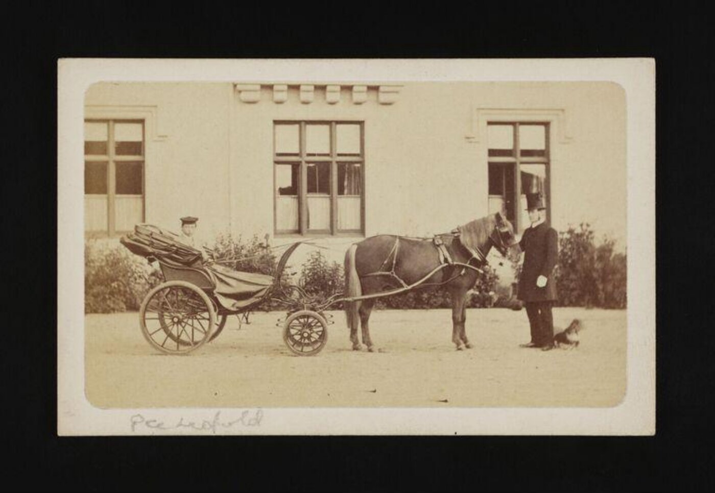 W. & D. Downey, Prince Leopold