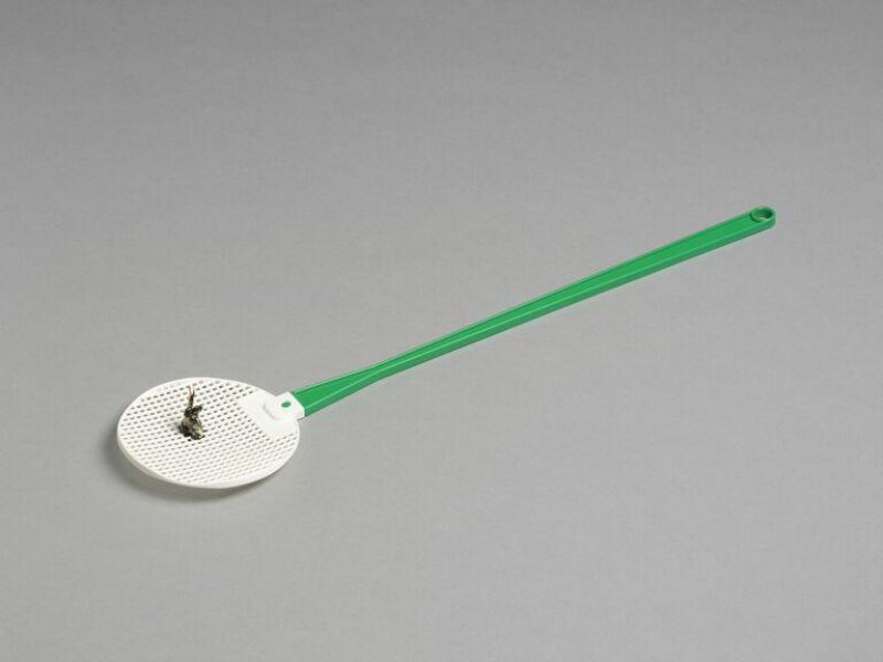 Fly swat