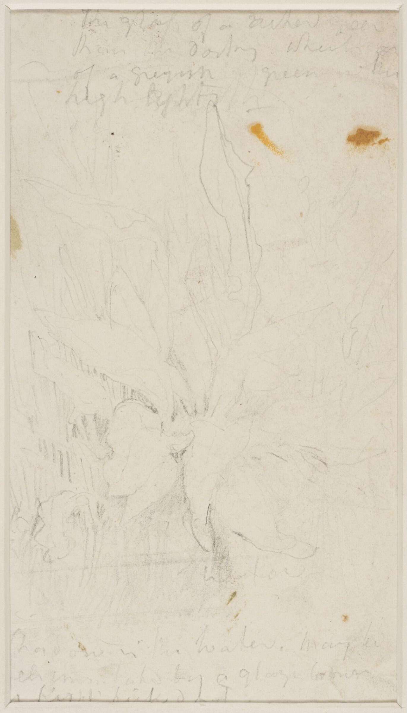 Study of water-dock leaves, Джон Селл Котман, ок. 1800–1842
