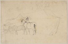 Two horses standing outside a tent thumbnail 1