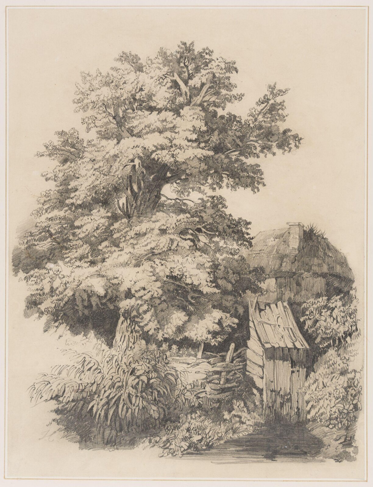 Drawing