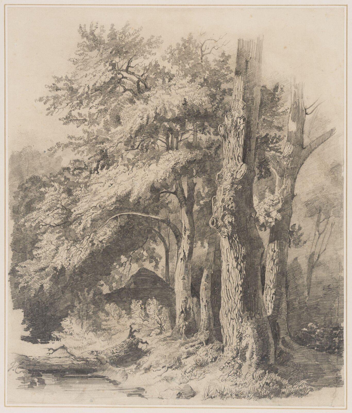 Drawing