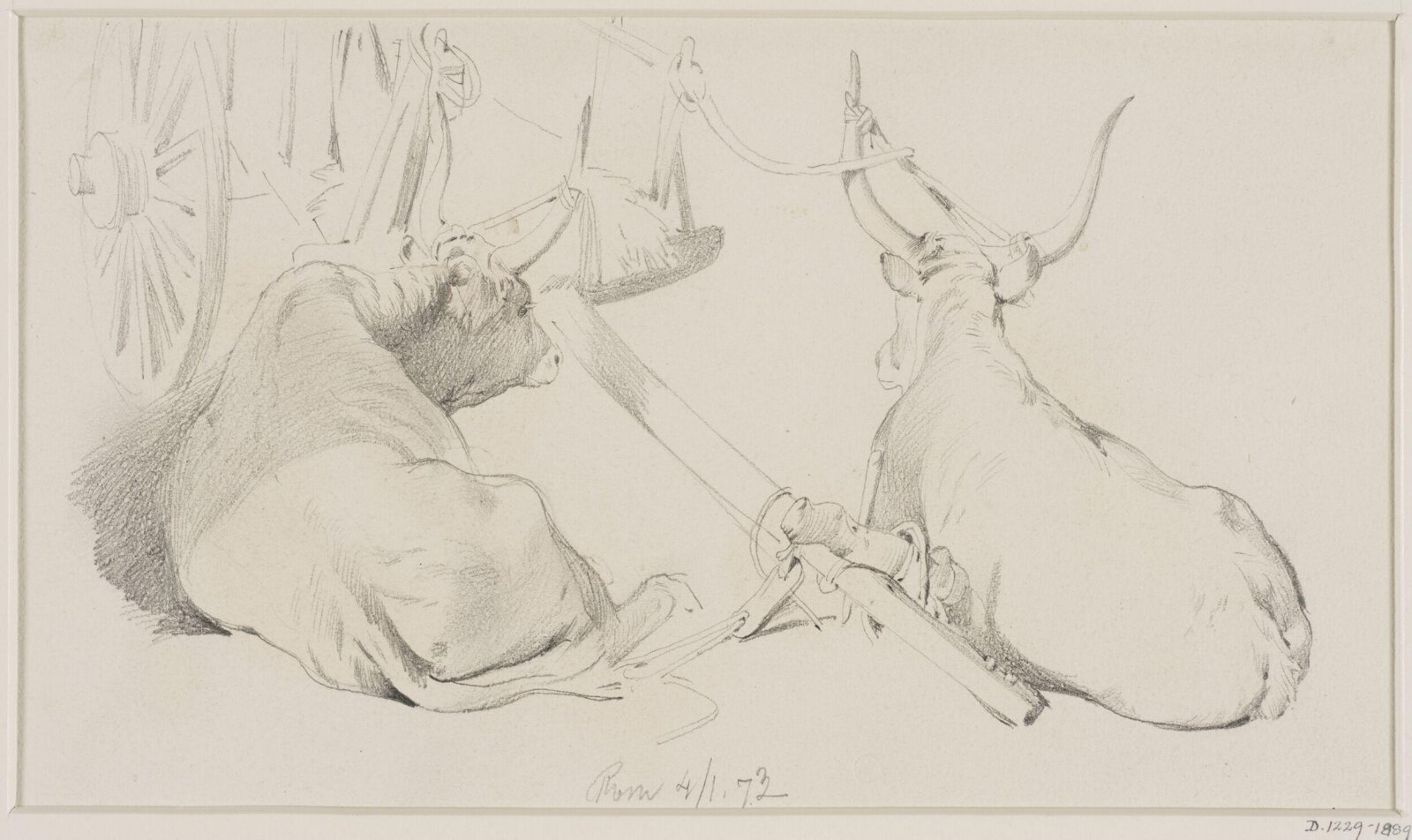 Drawing