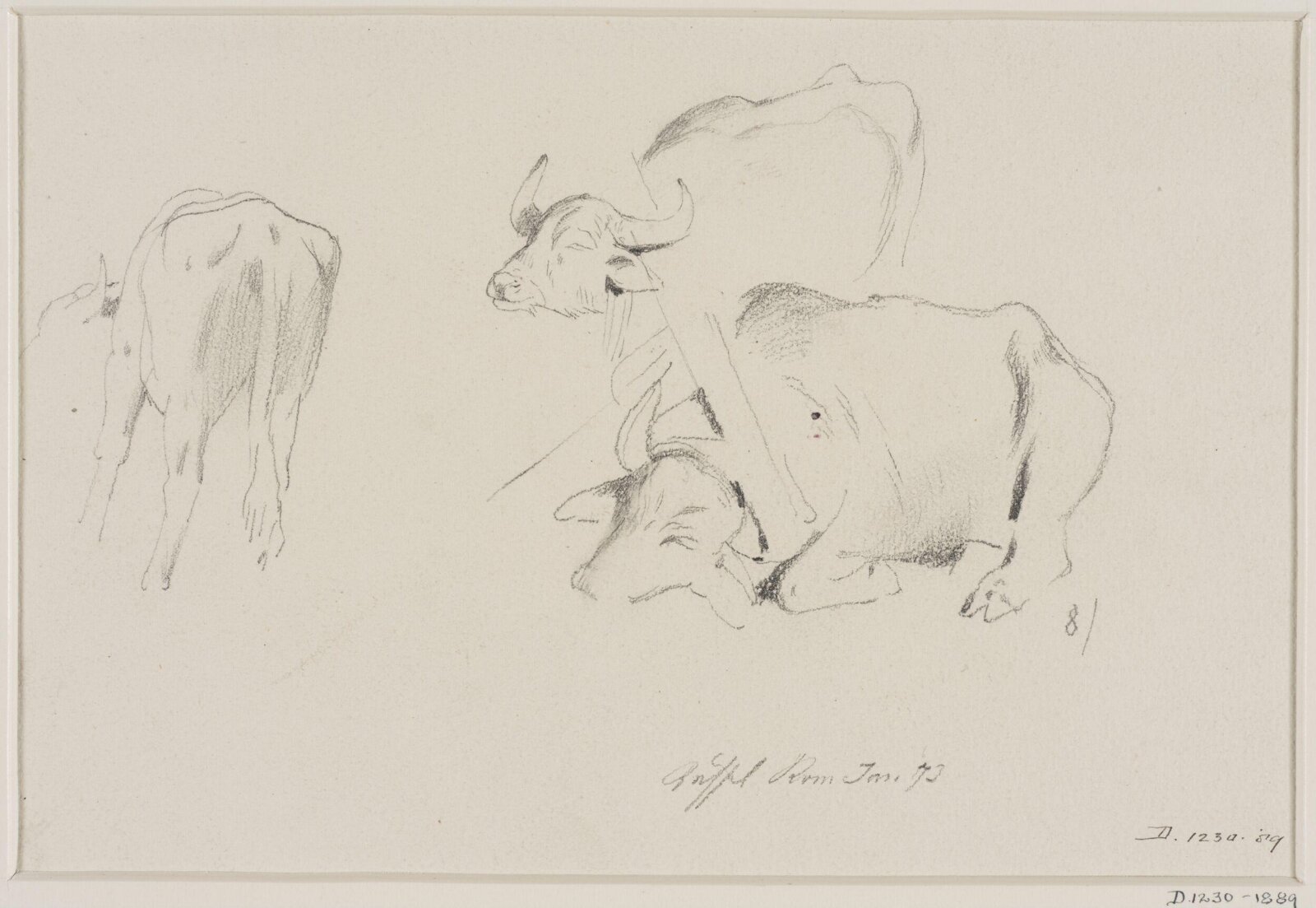Drawing