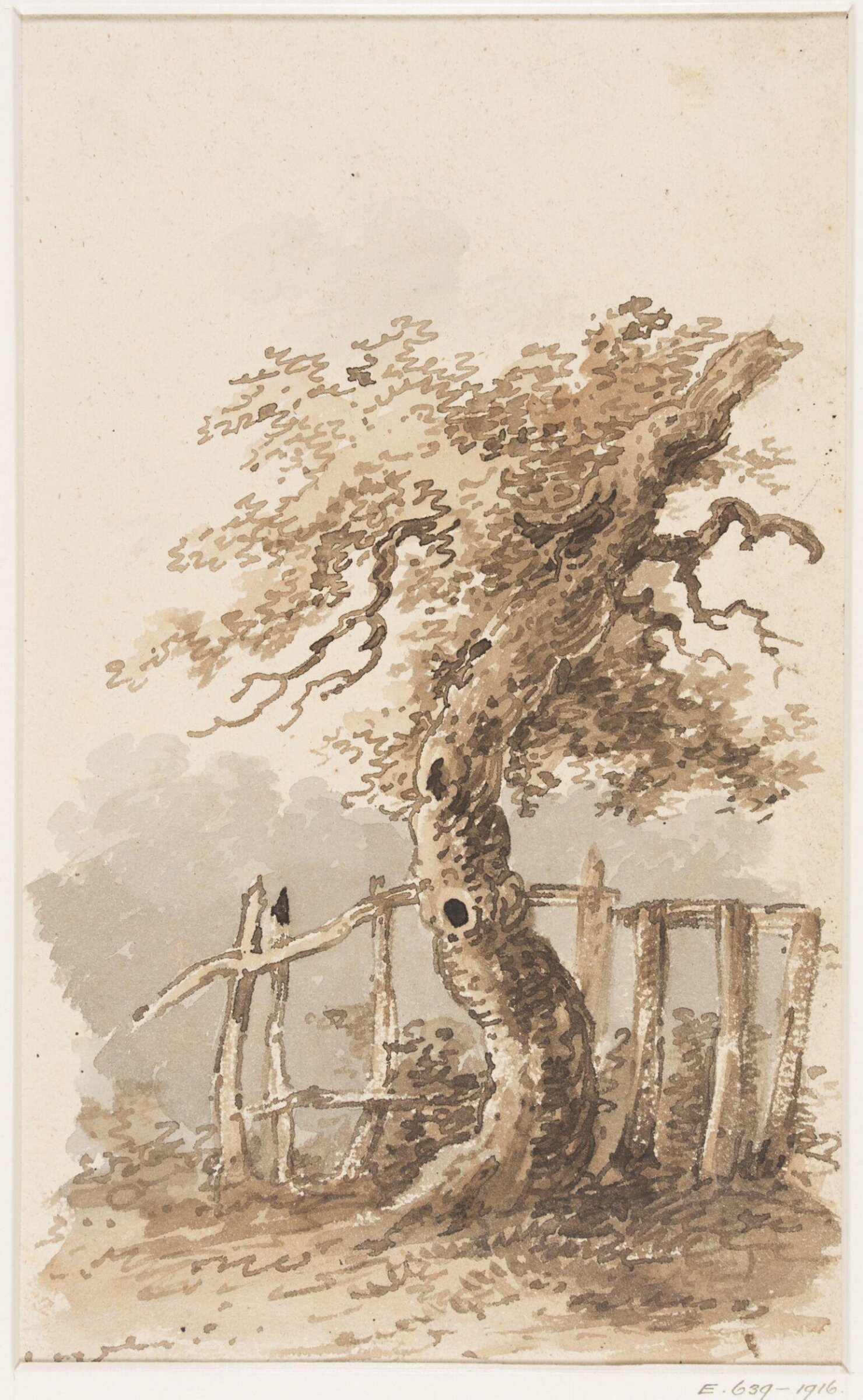 Study of trees, Thomas Sidney Cooper, mid 19th century