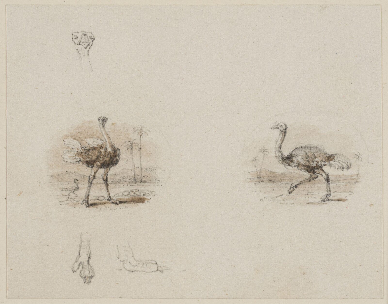 Drawing