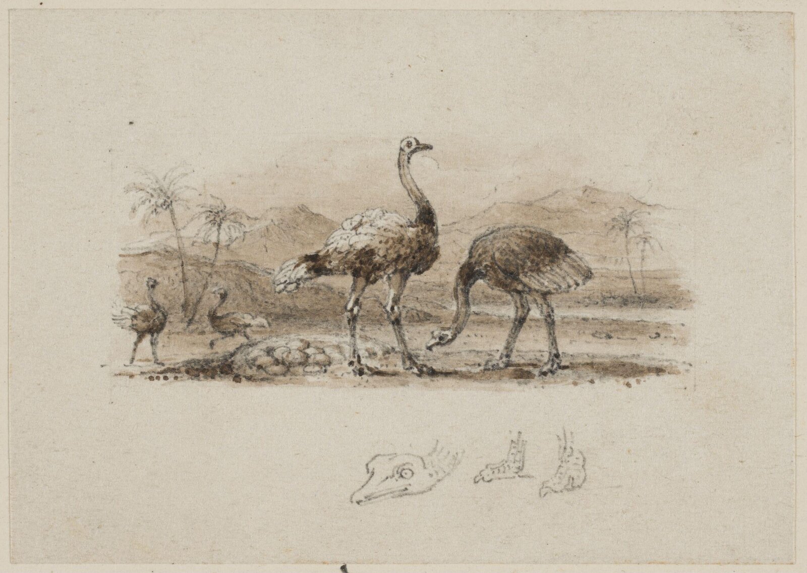 Drawing