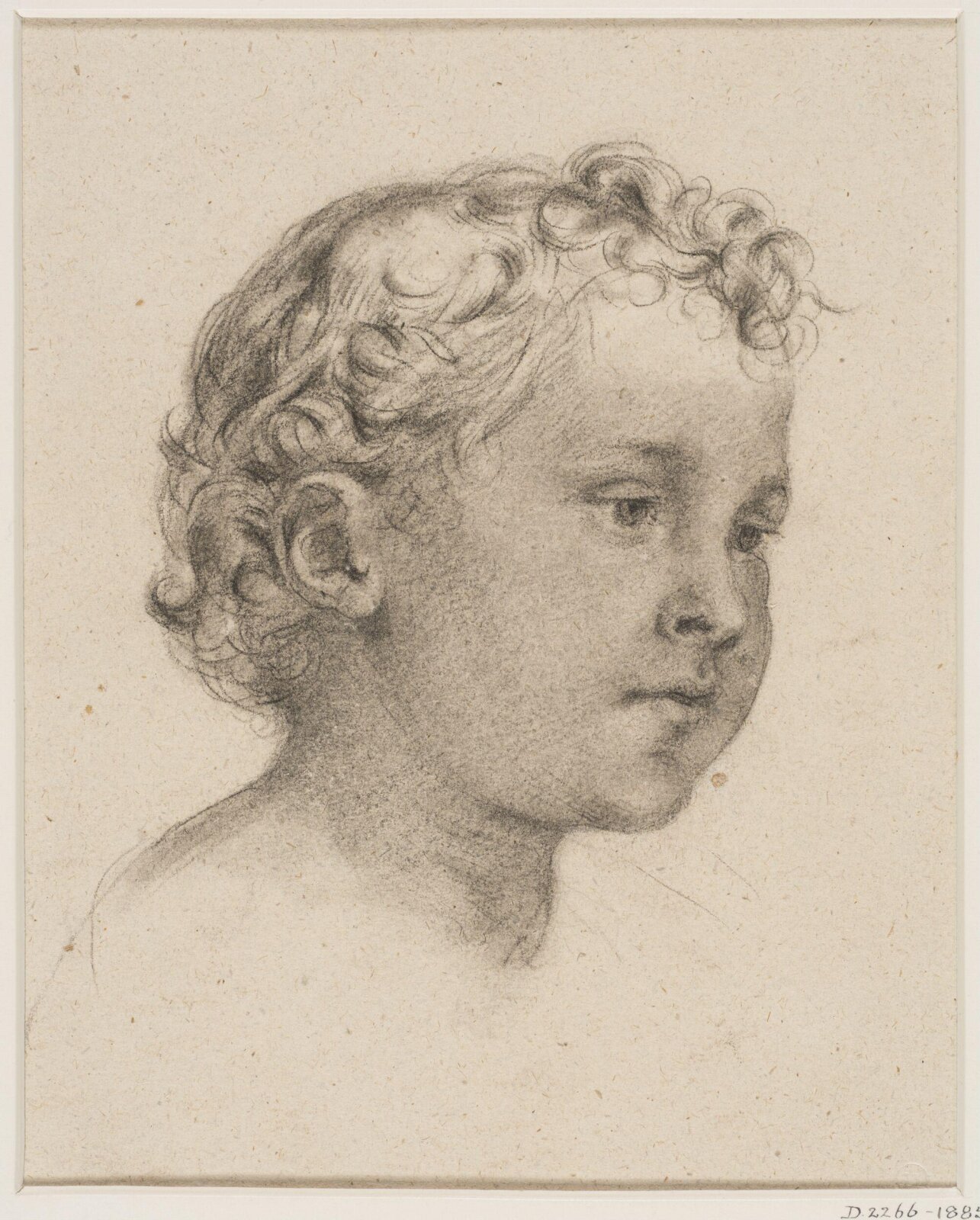 Drawing