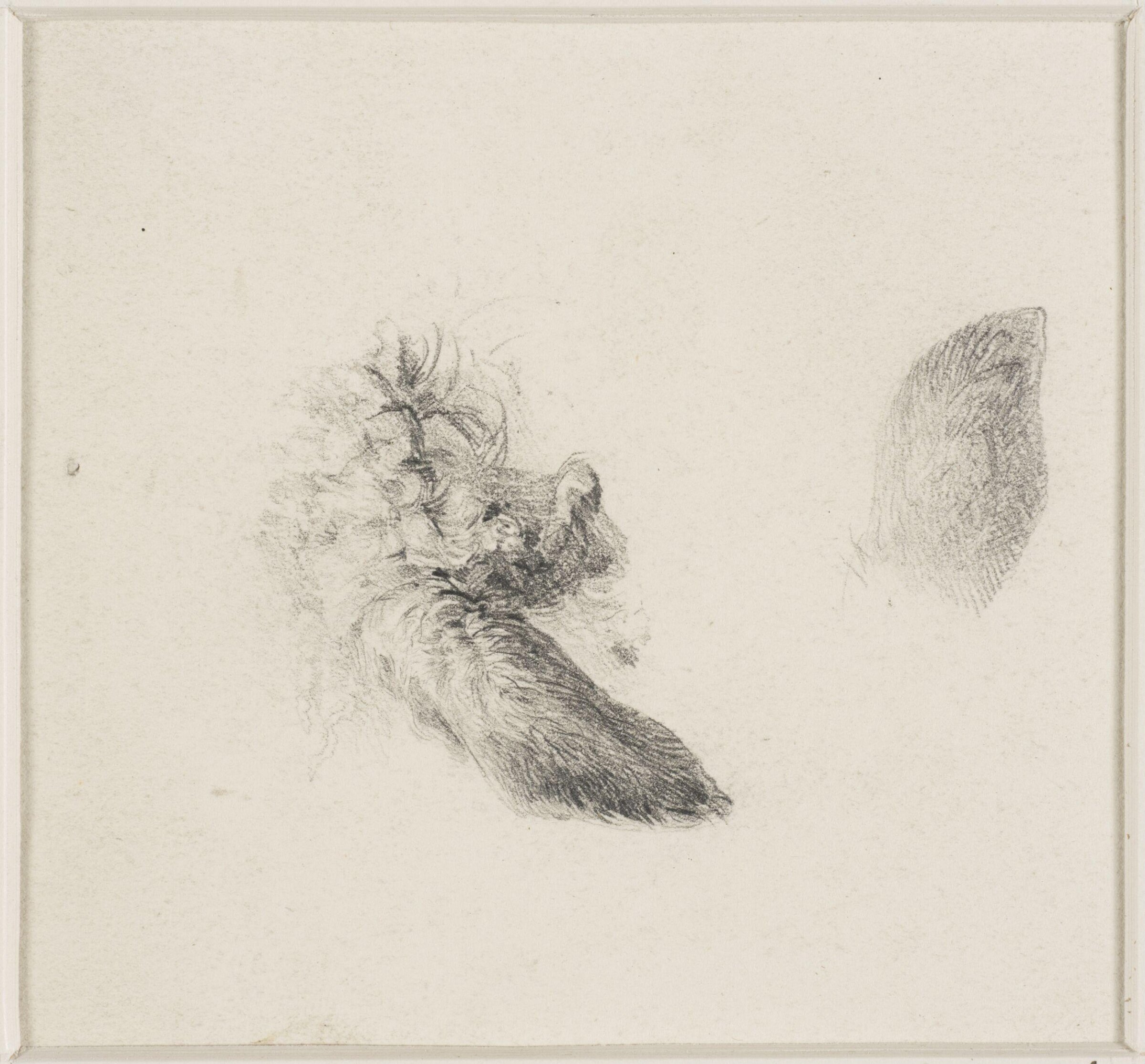 Studies of animals' ears, Thomas Sidney Cooper, mid 19th century