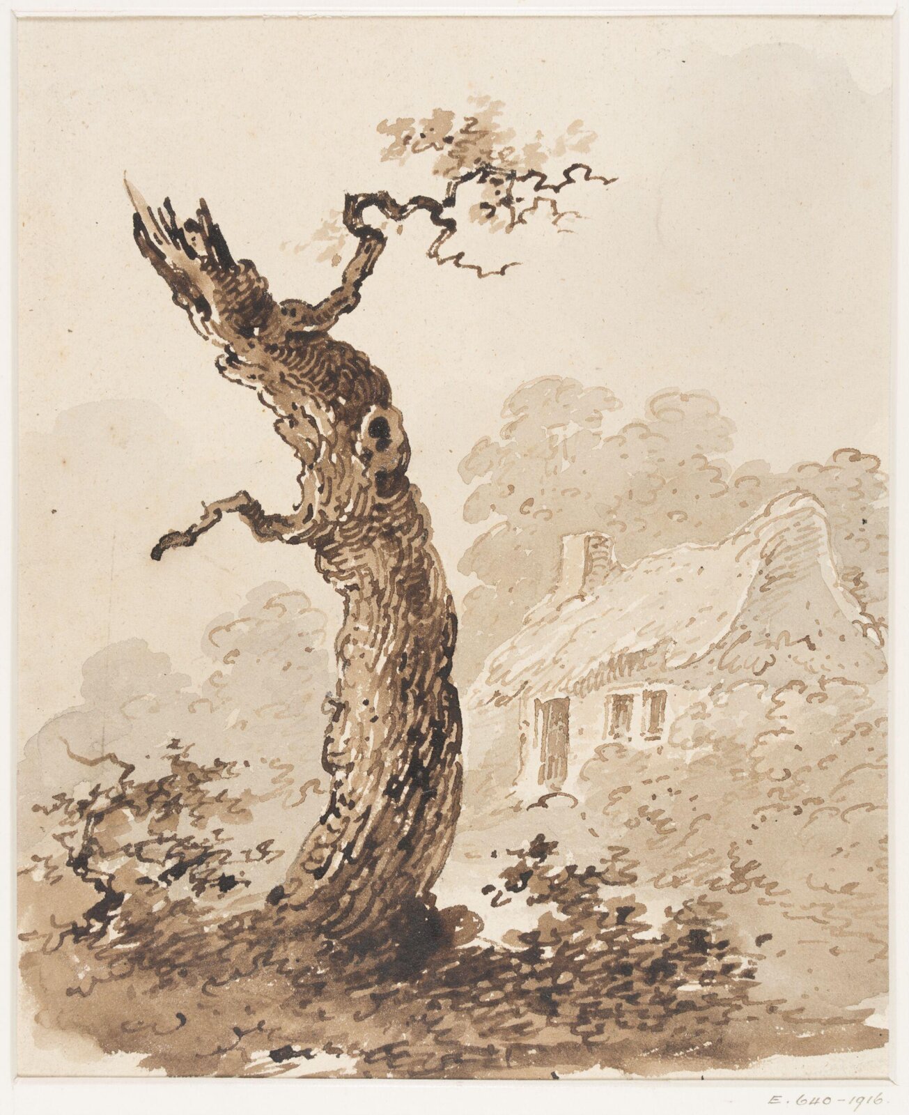 Study of trees, Thomas Sidney Cooper, mid 19th century