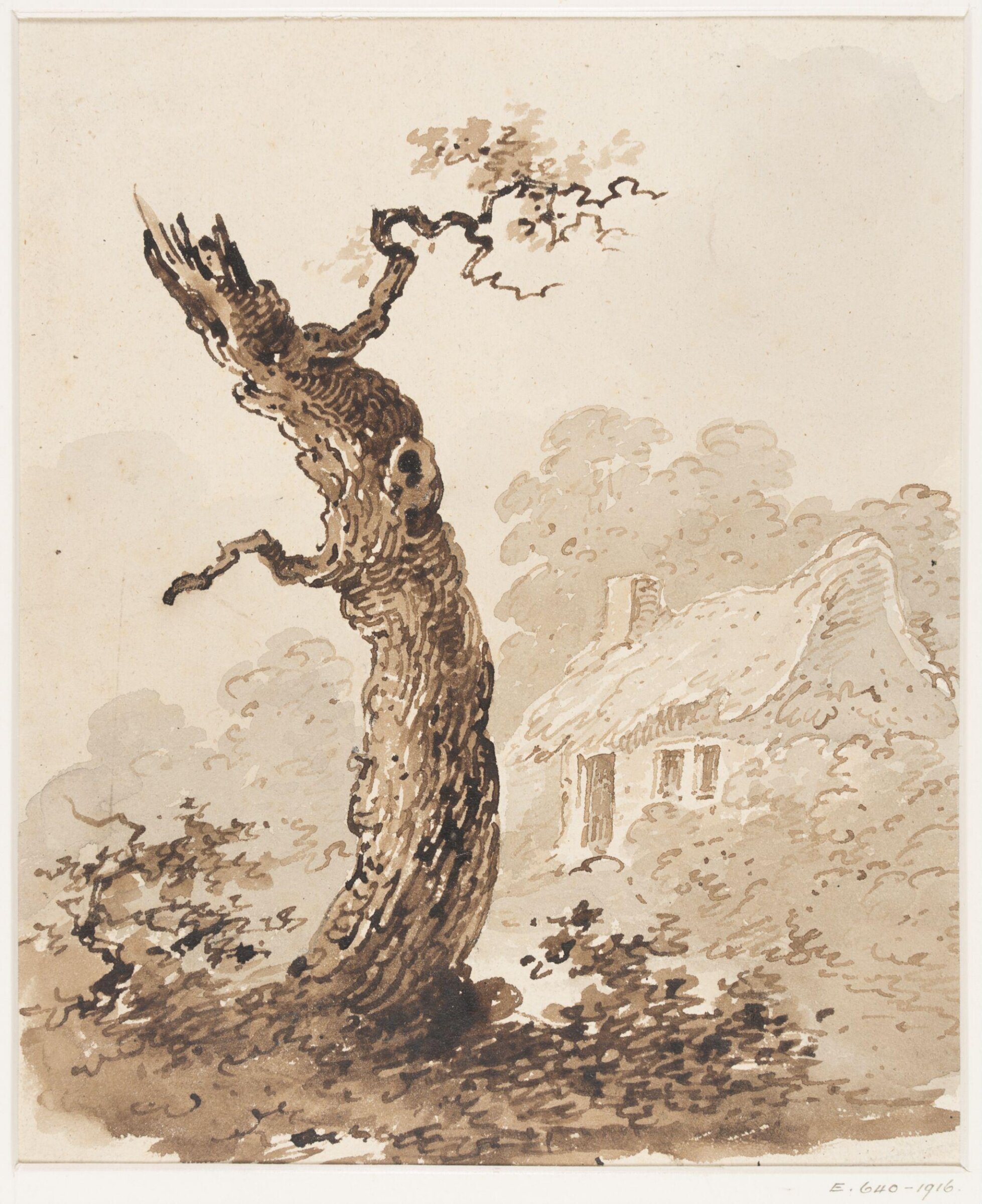 Study of trees, Thomas Sidney Cooper, mid 19th century