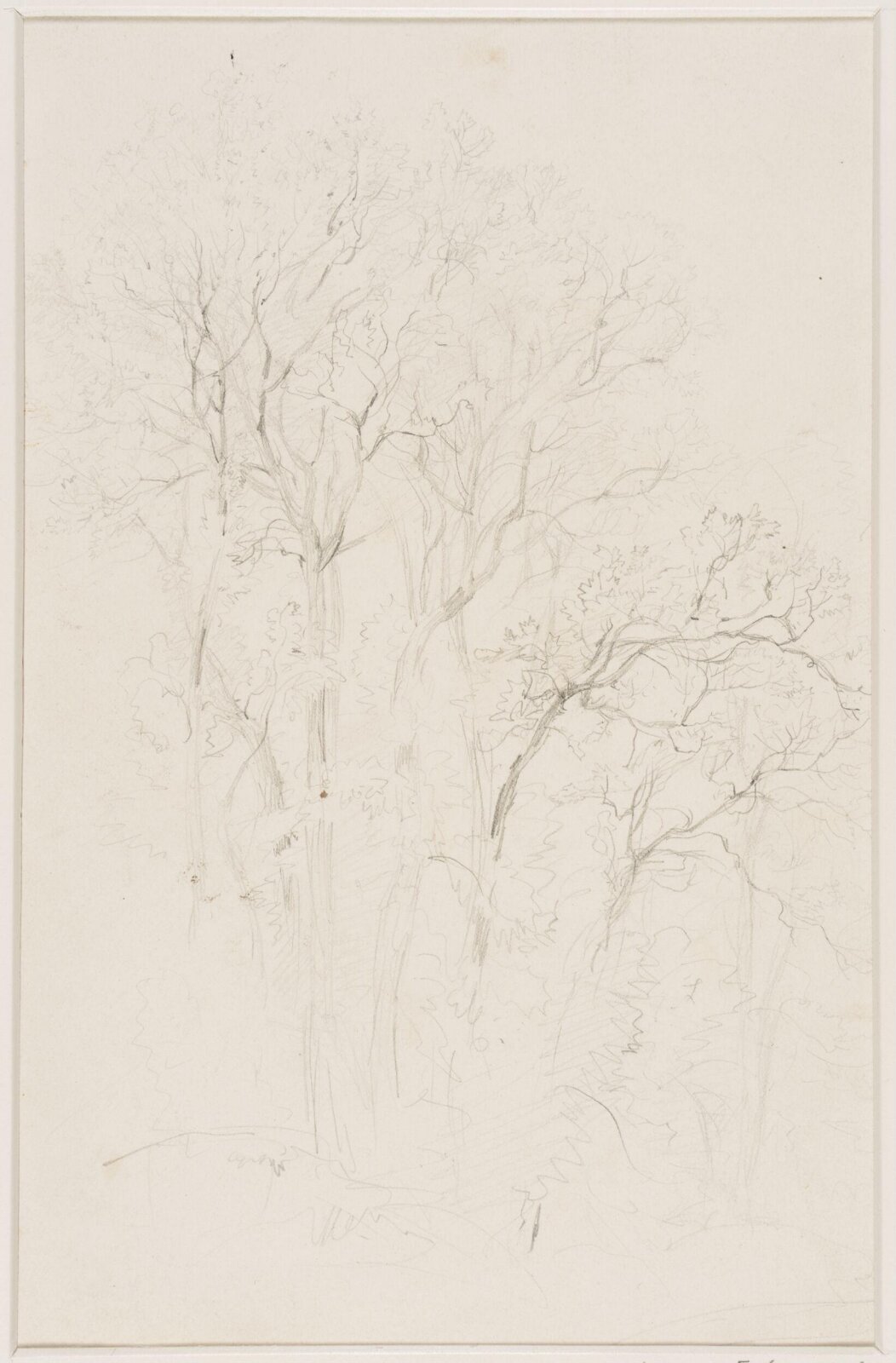 Study of trees, Thomas Sidney Cooper, mid 19th century